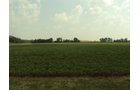 Property photo 3 - 160 Acres Offered in 6 Tracts